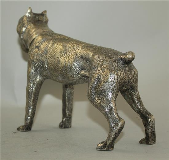 A silvered bronze figure of a growling mastiff, 8.5in.